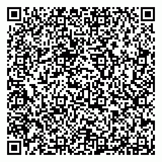 vCard 79294178131