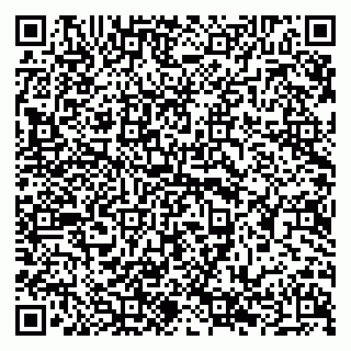 vCard 79294178201