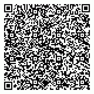 vCard 79294178221