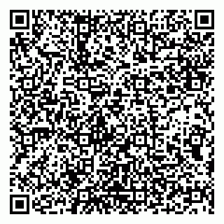 vCard 79294178239