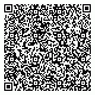 vCard 79294178303