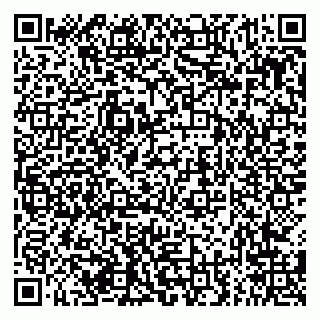 vCard 79294178331