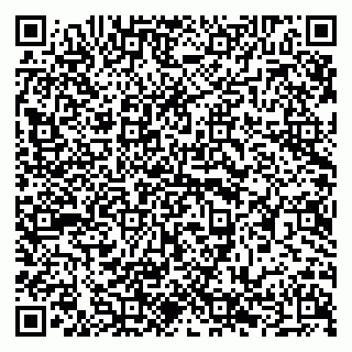 vCard 79294178335
