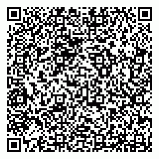 vCard 79294178337