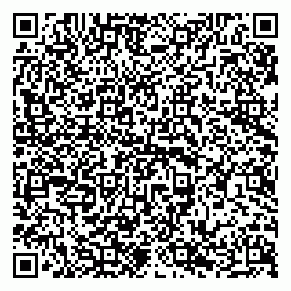 vCard 79294178397