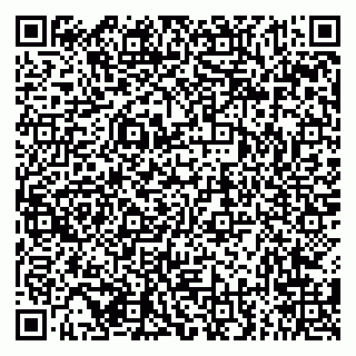 vCard 79294178403