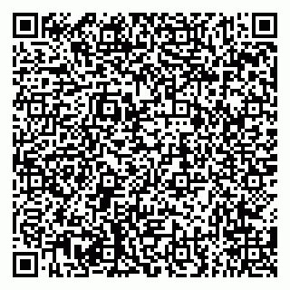vCard 79294178409