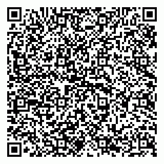 vCard 79294178489