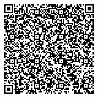 vCard 79294178503