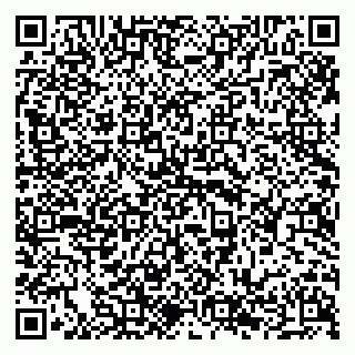 vCard 79294178508