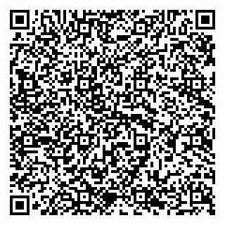vCard 79294178663