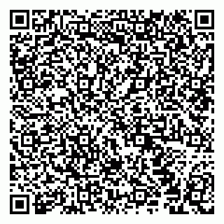 vCard 79294179073