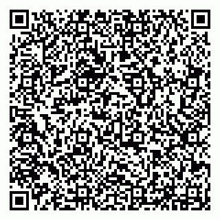 vCard 79294179331