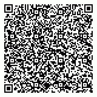vCard 79294180010