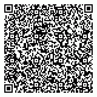 vCard 79294180240