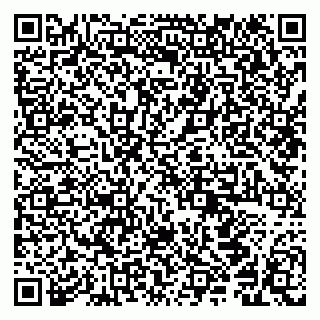 vCard 79294180263