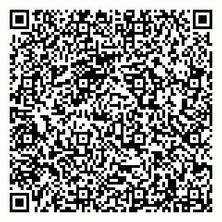 vCard 79294180304