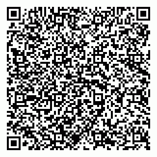 vCard 79294182004