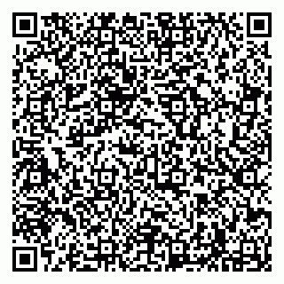 vCard 79294182011