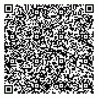 vCard 79294182103