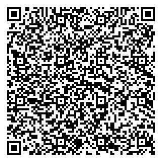 vCard 79294182131