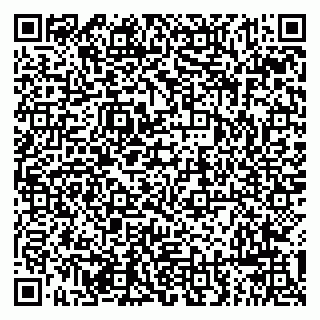vCard 79294183003