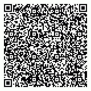 vCard 79294183131