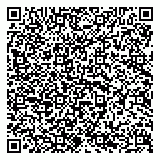 vCard 79294183303