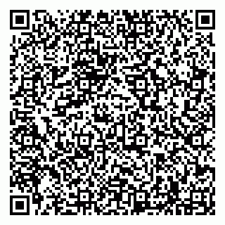 vCard 79294183602