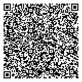 vCard 79294184663