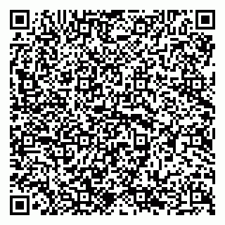 vCard 79294185303
