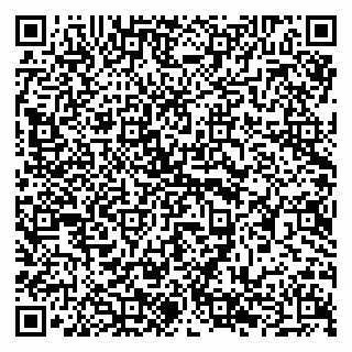 vCard 79294185331