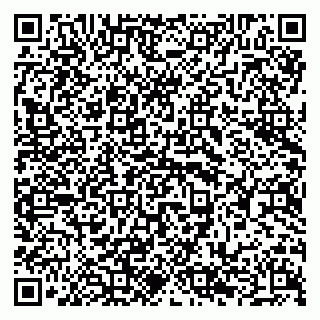 vCard 79294185366