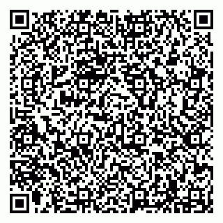 vCard 79294185551