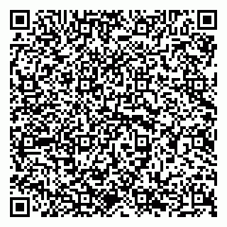 vCard 79294186239