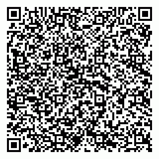 vCard 79294186263