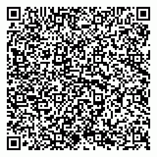 vCard 79294186331