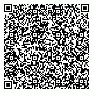 vCard 79294187111