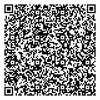 vCard 79294187293