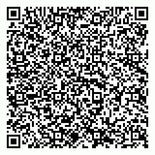 vCard 79294188303