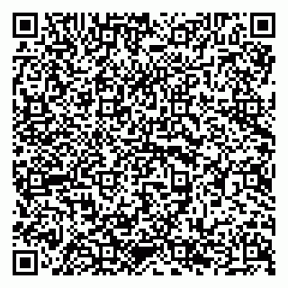 vCard 79294188335