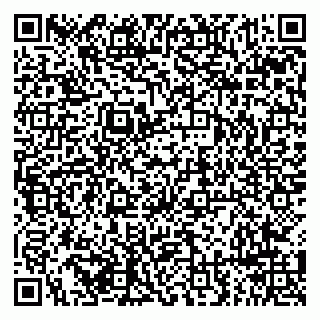 vCard 79294190013