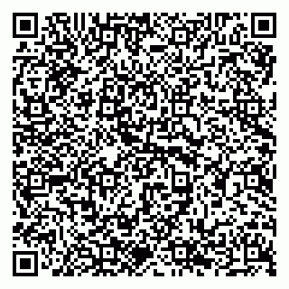 vCard 79294190239