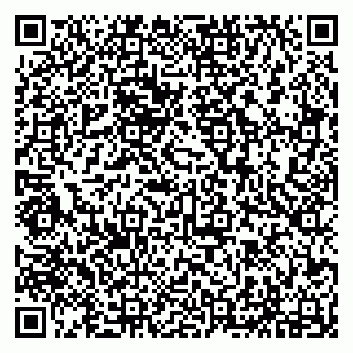 vCard 79294190280