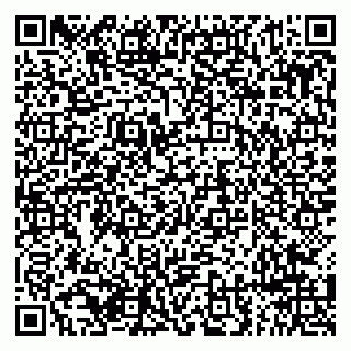 vCard 79294190384