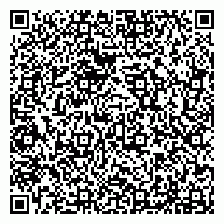 vCard 79294190403