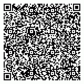 vCard 79294191685