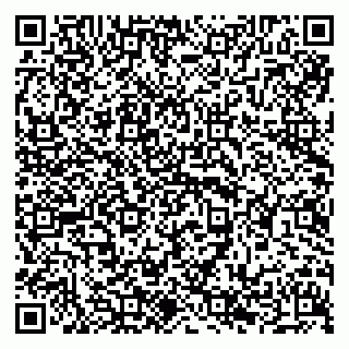 vCard 79294191995