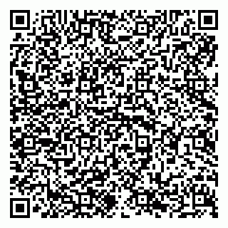vCard 79294191998