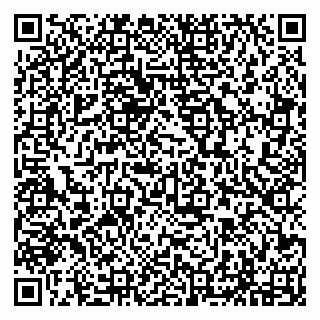 vCard 79294193000